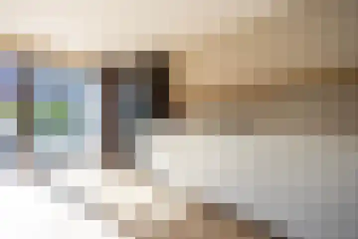 Willem Hedastraat 57 Alkmaar thumbnail 12