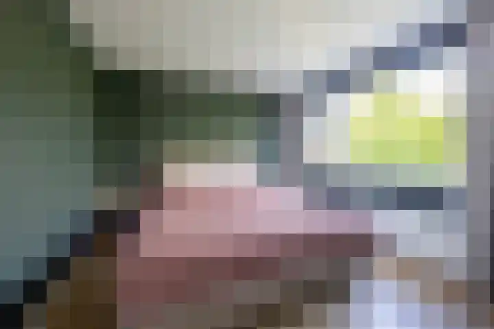 Willem Hedastraat 57 Alkmaar thumbnail 17