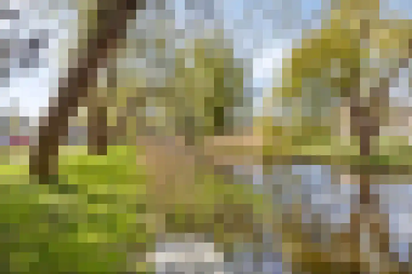 Willem Hedastraat 7 Alkmaar thumbnail 28