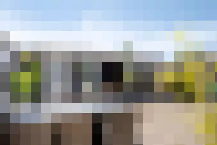 Willem Hendrik Zwartallee 77 Kampen thumbnail 36