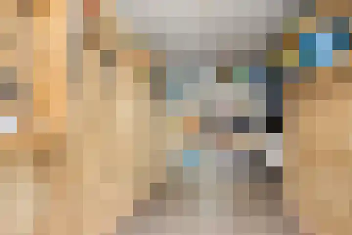 Willem Hendrik Zwartallee 77 Kampen thumbnail 42
