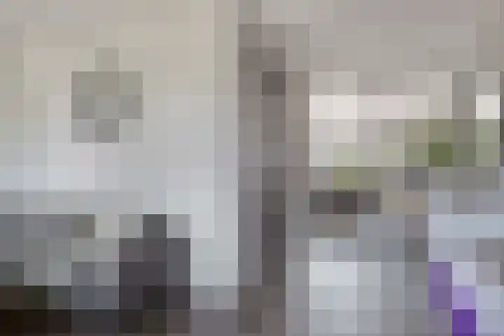Willem Hendrik Zwartallee 77 Kampen thumbnail 5