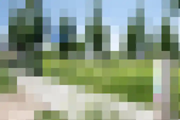 Willem Hendrik Zwartallee 77 Kampen thumbnail 50