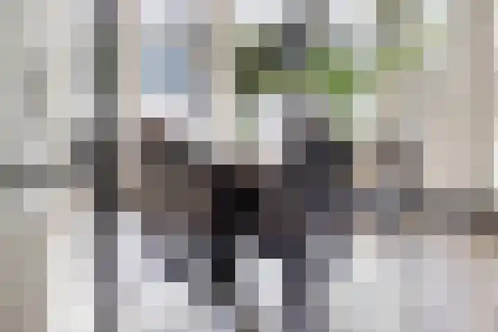 Willem Hendrik Zwartallee 77 Kampen thumbnail 9