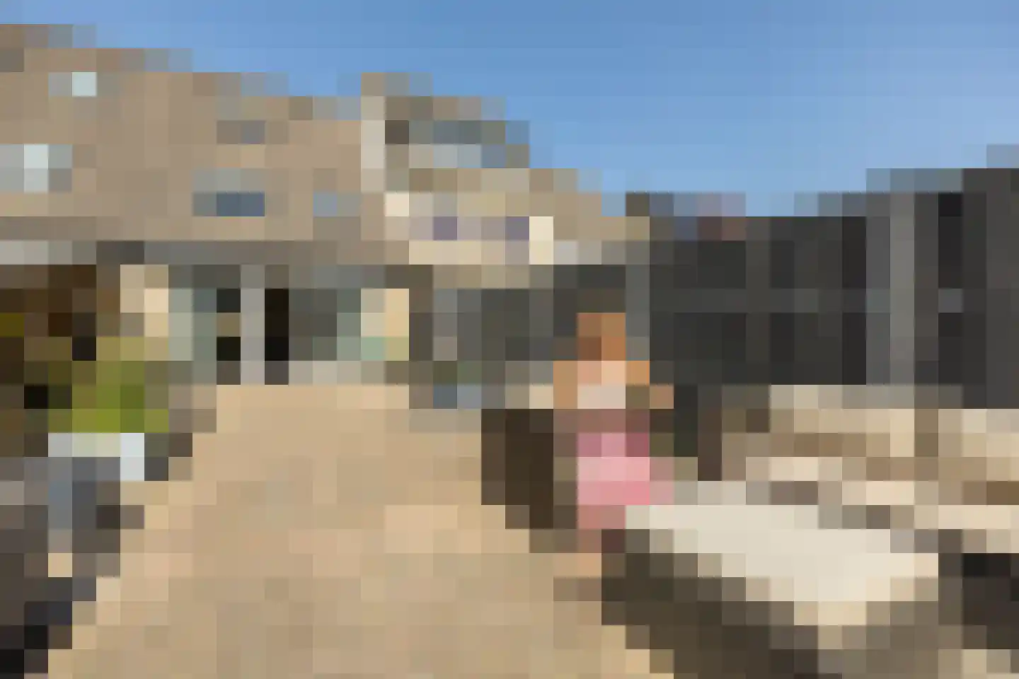 Willem Hofsteestraat 78 Purmerend thumbnail 37