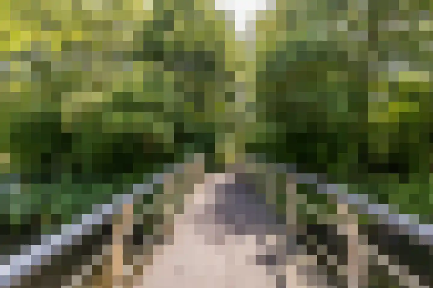 Willem Hofsteestraat 78 Purmerend thumbnail 42