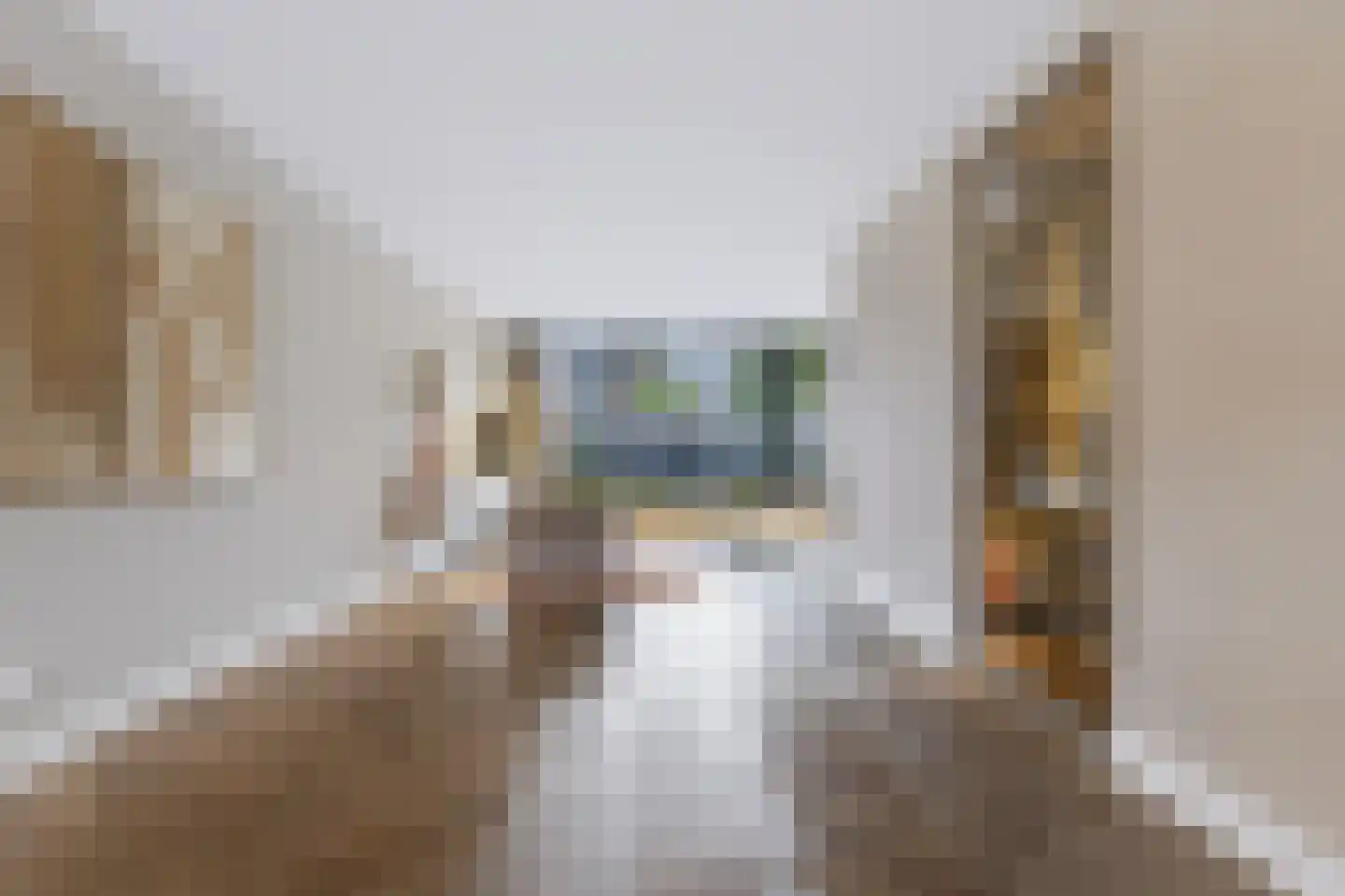 Willem Hogenhoeklaan 58 Spijkenisse thumbnail 16
