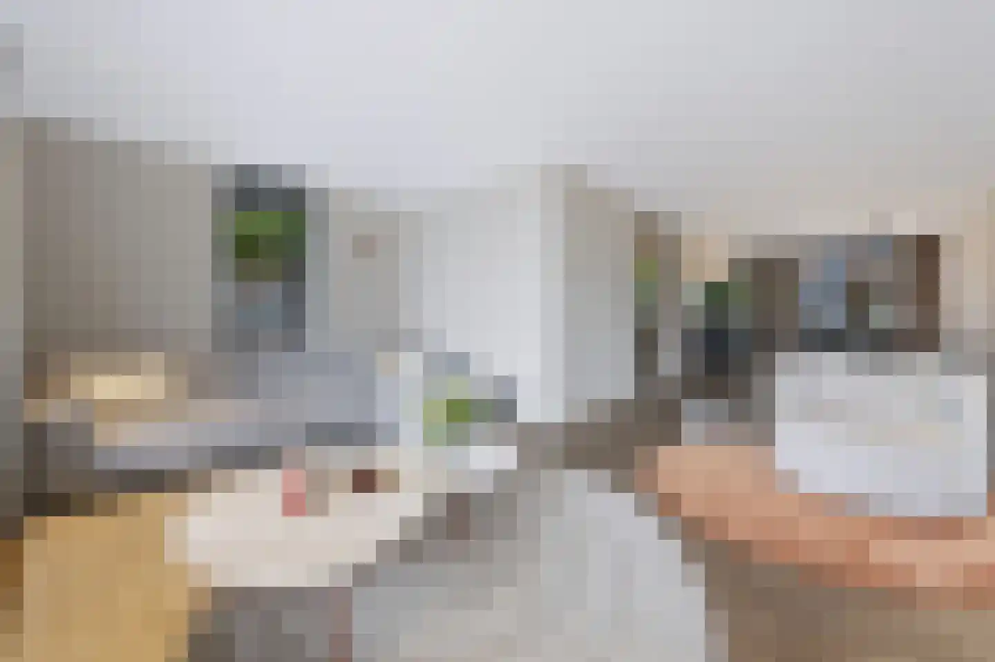 Willem Hogenhoeklaan 58 Spijkenisse thumbnail 18