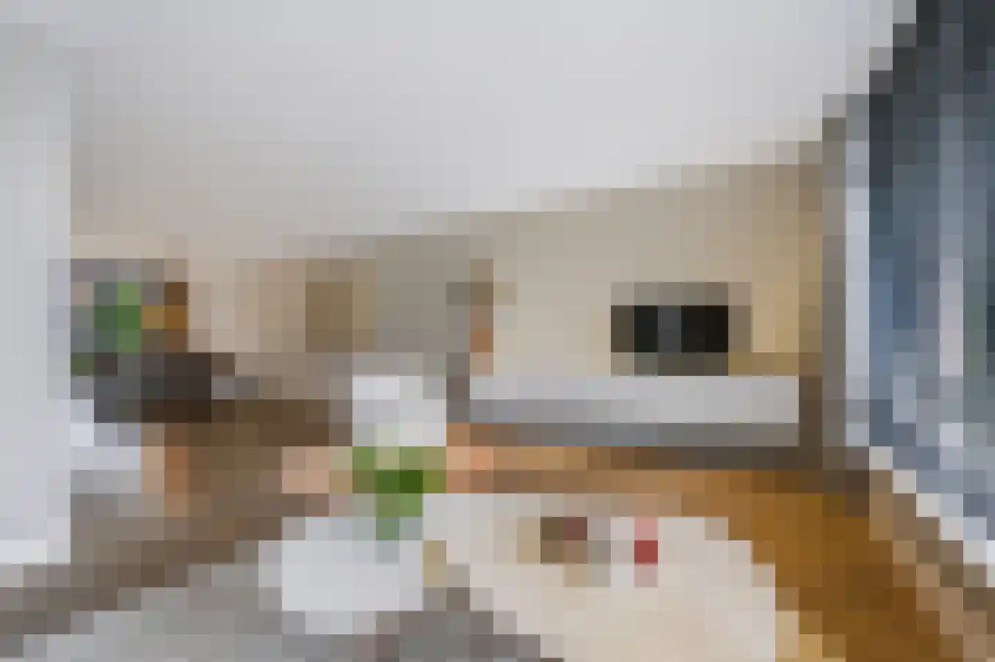 Willem Hogenhoeklaan 58 Spijkenisse thumbnail 19