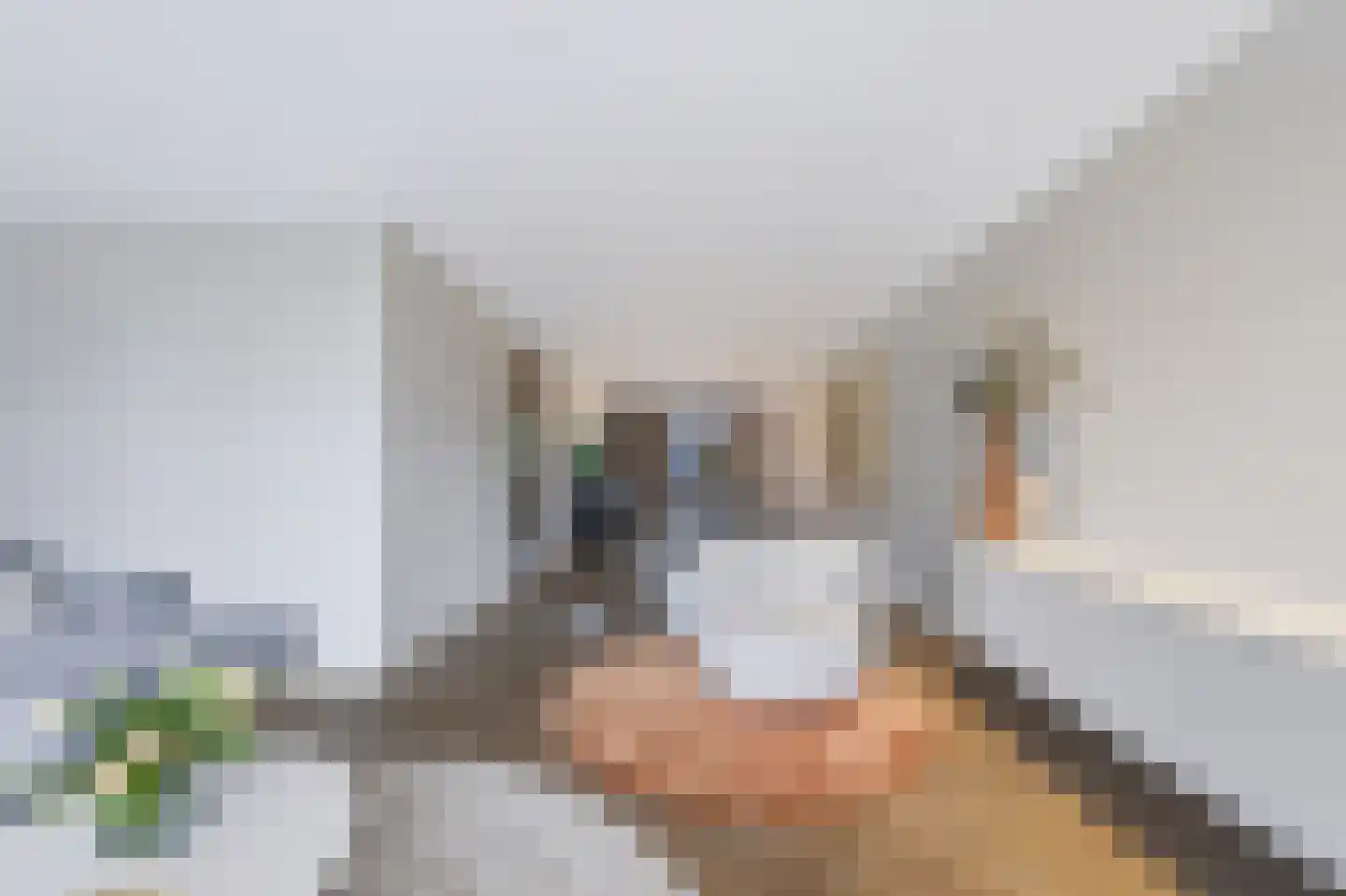 Willem Hogenhoeklaan 58 Spijkenisse thumbnail 20