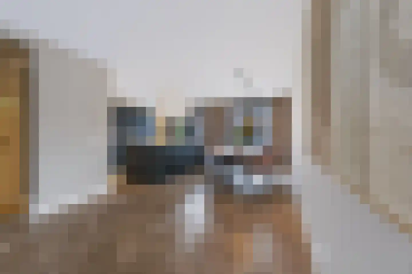 Willem Hogenhoeklaan 58 Spijkenisse thumbnail 21