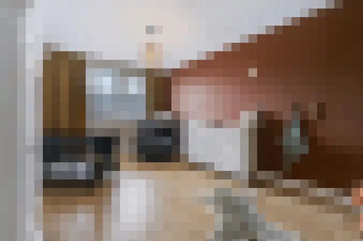 Willem Hogenhoeklaan 58 Spijkenisse thumbnail 31