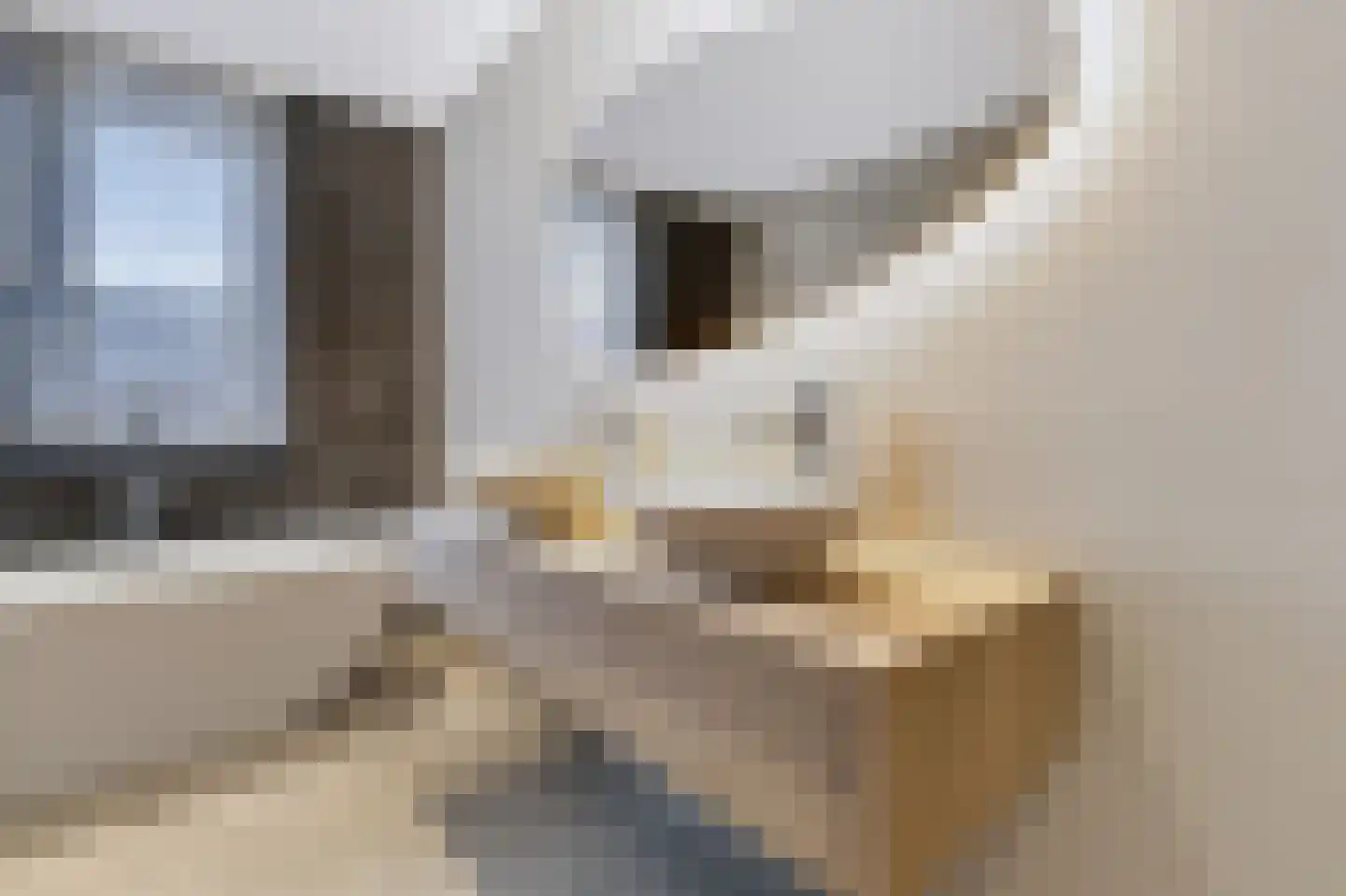 Willem Hogenhoeklaan 58 Spijkenisse thumbnail 34