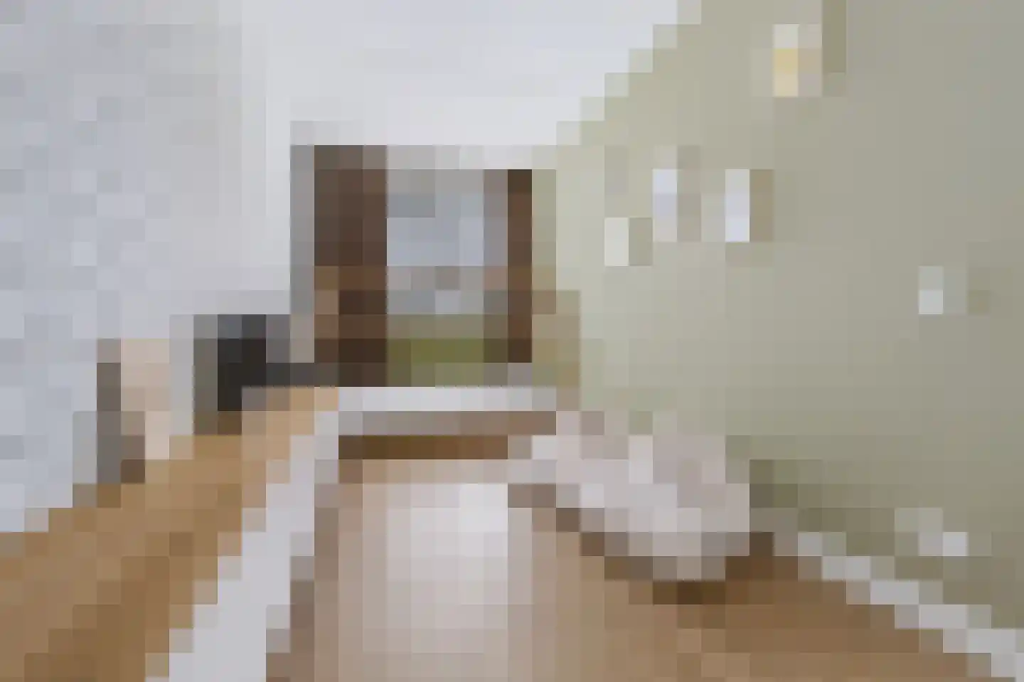 Willem Hogenhoeklaan 58 Spijkenisse thumbnail 36