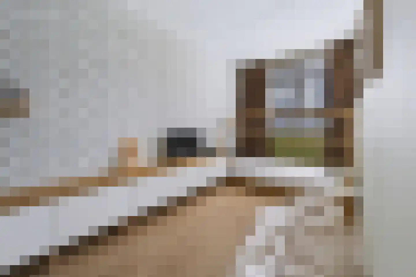 Willem Hogenhoeklaan 58 Spijkenisse thumbnail 37