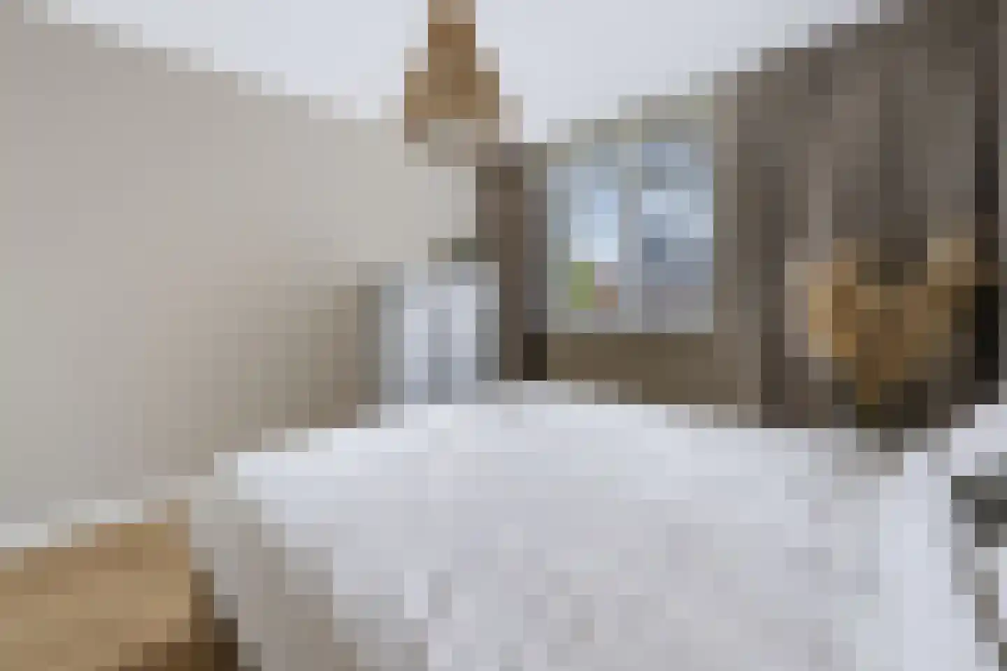 Willem Hogenhoeklaan 58 Spijkenisse thumbnail 39