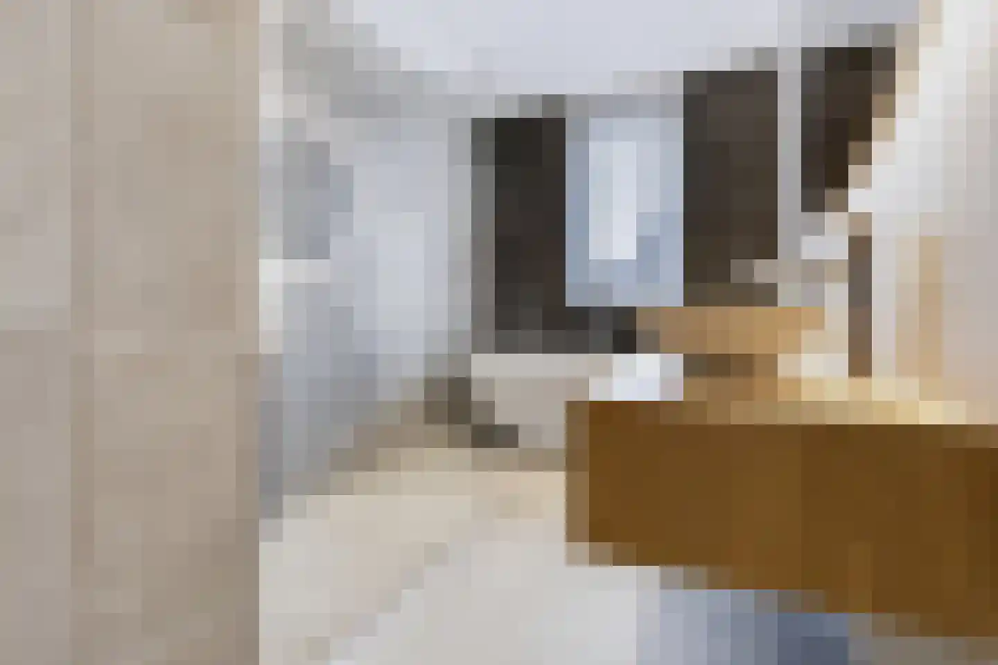 Willem Hogenhoeklaan 58 Spijkenisse thumbnail 4