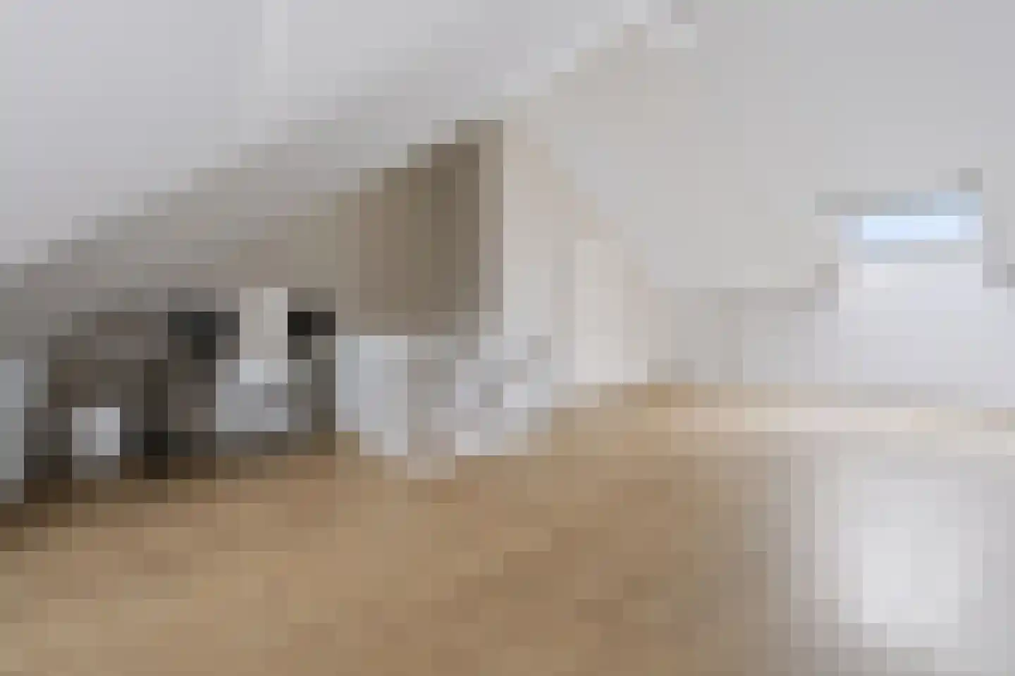 Willem Hogenhoeklaan 58 Spijkenisse thumbnail 41