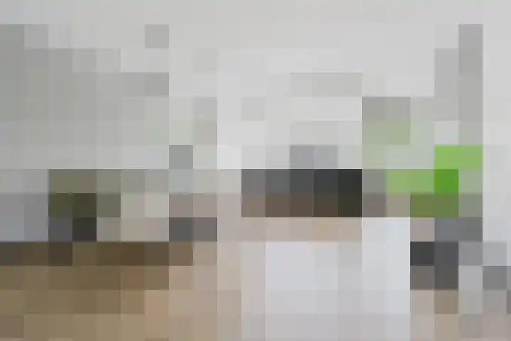 Willem Hogenhoeklaan 76 Spijkenisse thumbnail 13