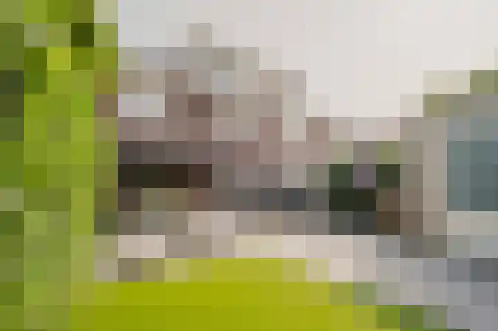 Willem Hogenhoeklaan 76 Spijkenisse thumbnail 14