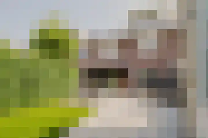 Willem Hogenhoeklaan 76 Spijkenisse thumbnail 15