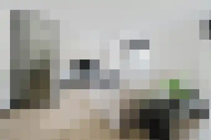 Willem Hogenhoeklaan 76 Spijkenisse thumbnail 16