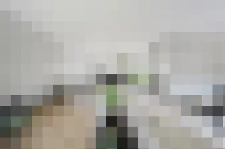 Willem Hogenhoeklaan 76 Spijkenisse thumbnail 17