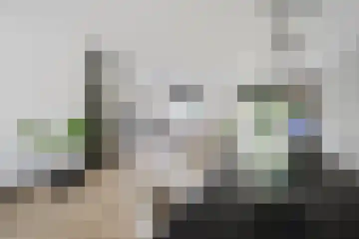 Willem Hogenhoeklaan 76 Spijkenisse thumbnail 18