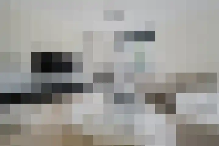 Willem Hogenhoeklaan 76 Spijkenisse thumbnail 23