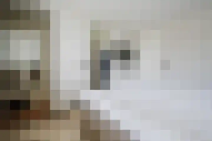 Willem Hogenhoeklaan 76 Spijkenisse thumbnail 29