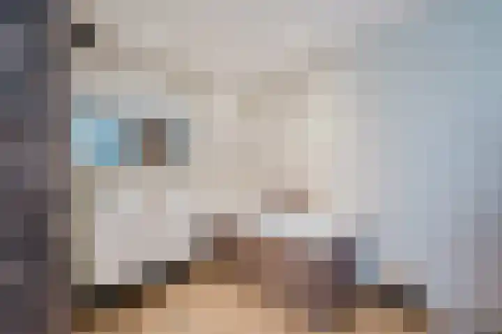 Willem Hogenhoeklaan 76 Spijkenisse thumbnail 30