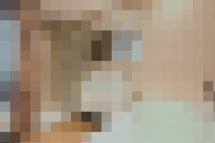 Willem Hogenhoeklaan 76 Spijkenisse thumbnail 31