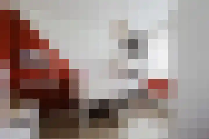 Willem Hogenhoeklaan 76 Spijkenisse thumbnail 32