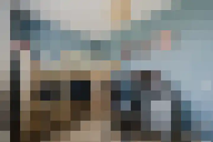Willem Hogenhoeklaan 76 Spijkenisse thumbnail 34