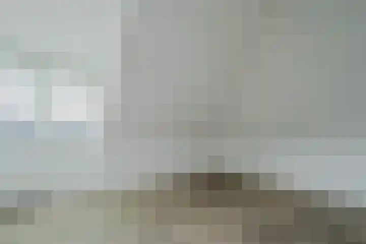 Willem Hogenhoeklaan 76 Spijkenisse thumbnail 37