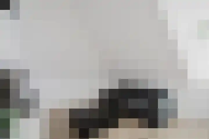 Willem Hogenhoeklaan 76 Spijkenisse thumbnail 38