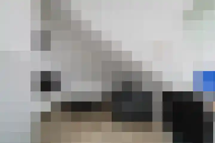 Willem Hogenhoeklaan 76 Spijkenisse thumbnail 39