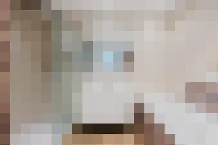 Willem Hogenhoeklaan 76 Spijkenisse thumbnail 4