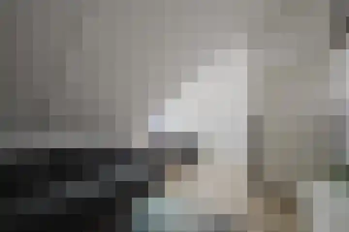 Willem Hogenhoeklaan 76 Spijkenisse thumbnail 40
