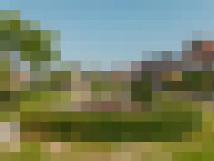 Willem Hogenhoeklaan 76 Spijkenisse thumbnail 41
