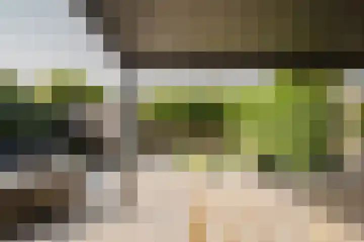 Willem Hogenhoeklaan 76 Spijkenisse thumbnail 5