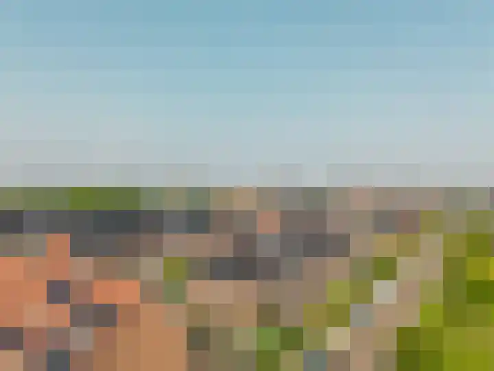 Willem Hogenhoeklaan 76 Spijkenisse thumbnail 6