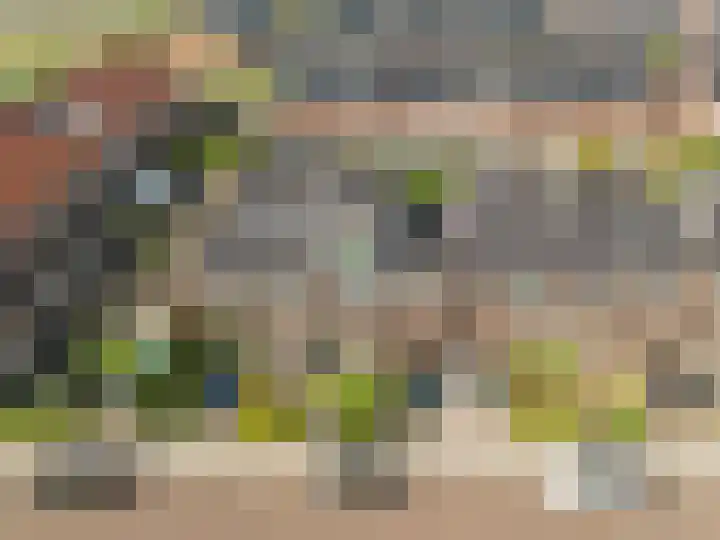 Willem Hogenhoeklaan 76 Spijkenisse thumbnail 7