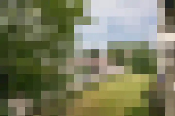 Willem Honigweg 17 Velp thumbnail 10