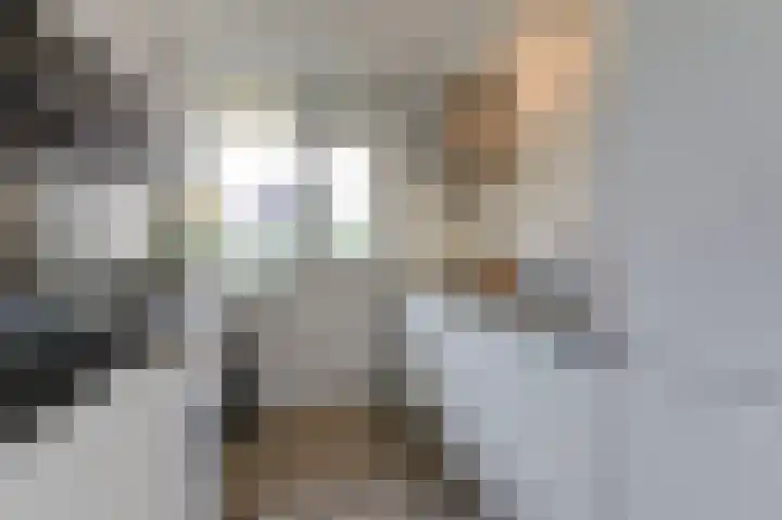 Willem Honigweg 17 Velp thumbnail 11