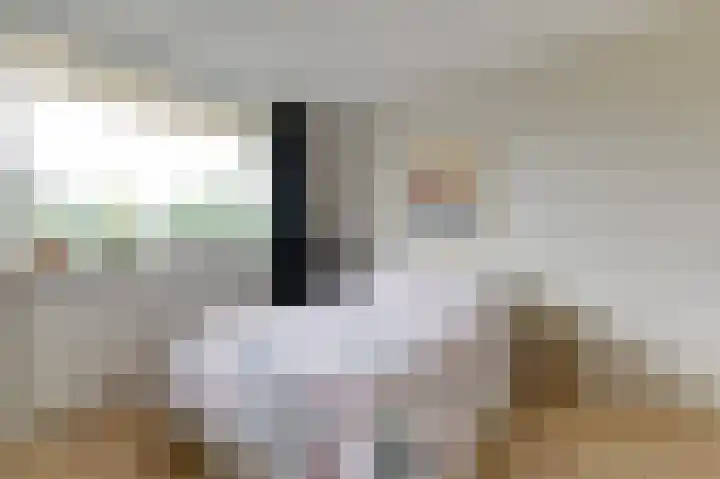 Willem Honigweg 17 Velp thumbnail 14
