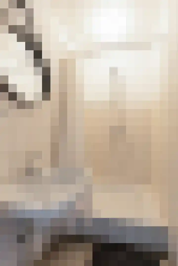 Willem Honigweg 17 Velp thumbnail 15