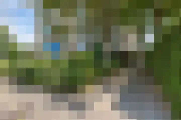 Willem Honigweg 17 Velp thumbnail 17