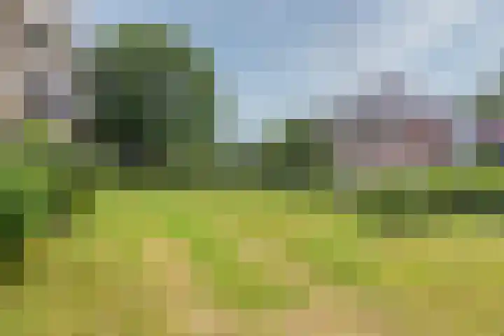 Willem Honigweg 17 Velp thumbnail 18