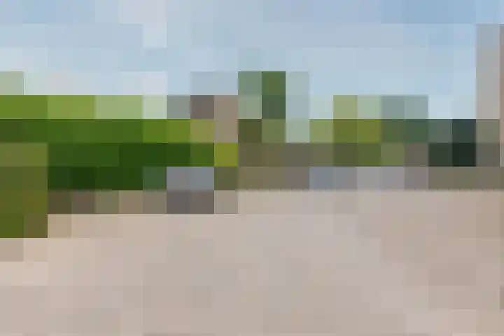 Willem Honigweg 17 Velp thumbnail 20